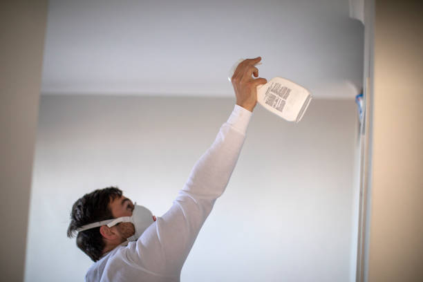 Best Commercial Mold Removal  in Muenster, TX
