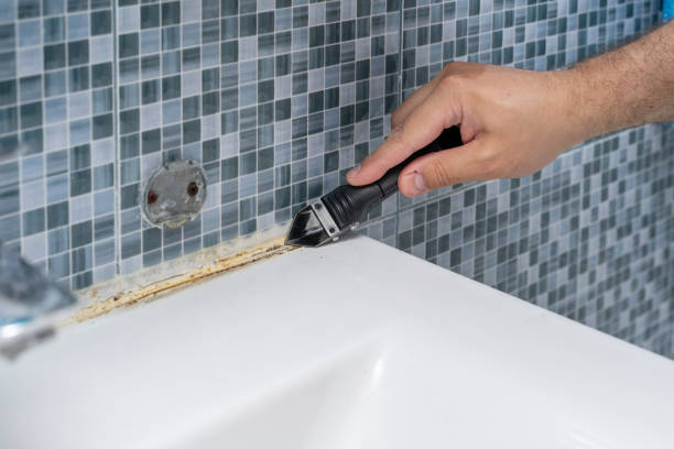 Best Best Mold Removal Companies  in Muenster, TX