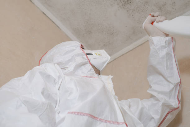 Best Mold Testing  in Muenster, TX